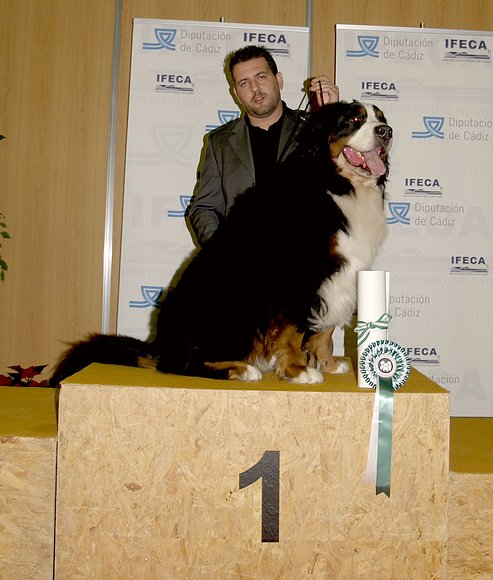 Dante Campeon de Andalucía