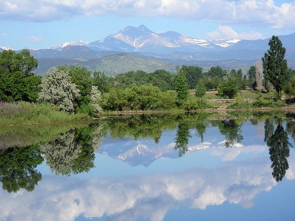 Naturaleza viva