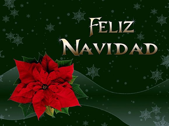 FELIZ NAVIDAD 2009