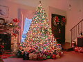 Navidad 2011