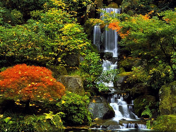 Paraíso en Portland