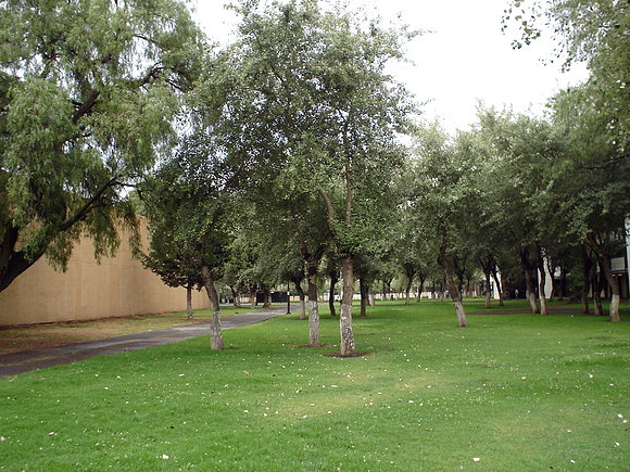 Áreas verdes entre edificios