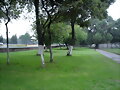 Entre el Estacionamiento y la Zona Deportiva