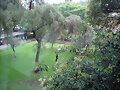 Desde el segundo piso