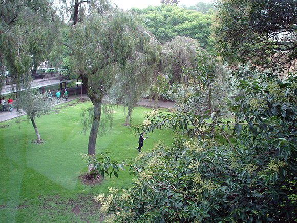 Desde el segundo piso