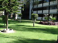 Jard&iacute;n de ESIQIE