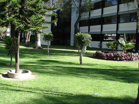 Jardín de ESIQIE