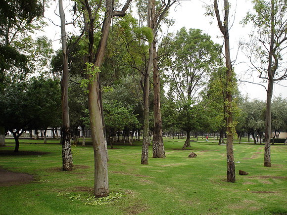 Entre el Centro Cultural y la Zona Académica