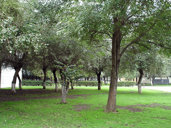 Al lado del Edificio 2