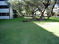 Desde el pasillo central