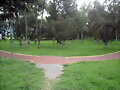 Entrando a la ciclopista del IPN