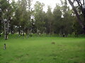 Zona ecol&oacute;gica en Zacatenco