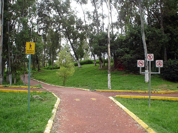 El camino correcto