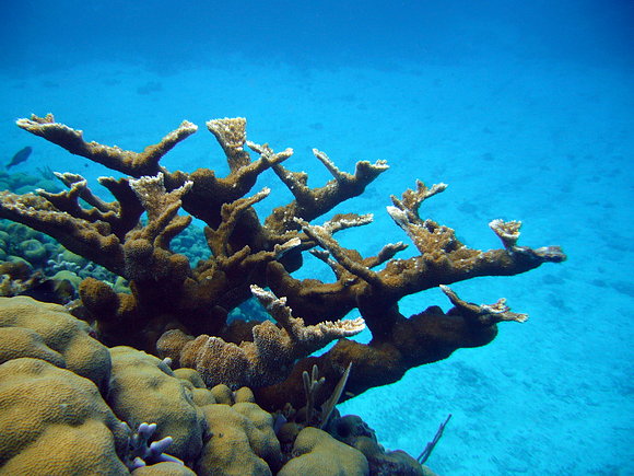 Mundo en el agua