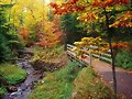 Puente en oto&ntilde;o