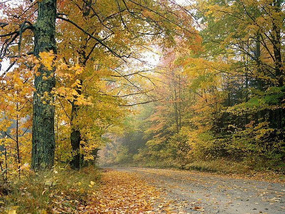 Tarde de otoño