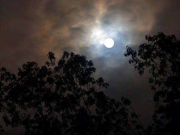 El misterio de la noche