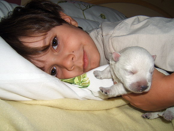 Los dos peques... David con cachorrito...