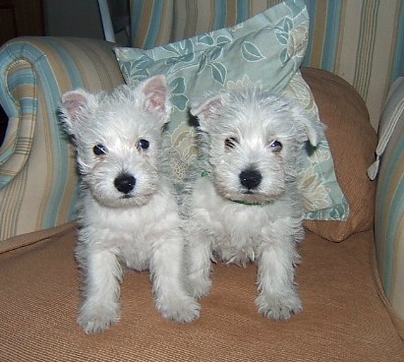 Con dos meses