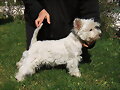 Popita  posando, 7meses