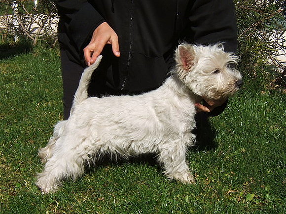 Popita  posando, 7meses