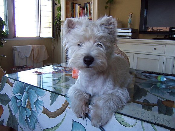 Popita en casa