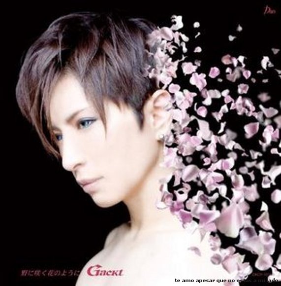 gackt