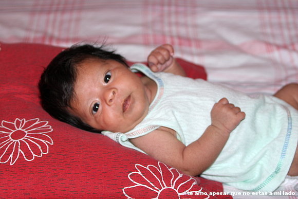 mi sobrina