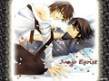 junjou romantica