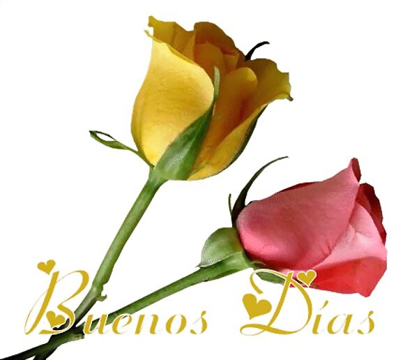 HERMOSO BUENOS DIAS