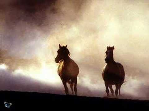 CABALLO NEGRO