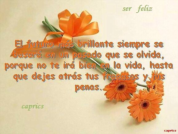 HECHIZO PARA DESHECHIZARSE Y SER FELIZ