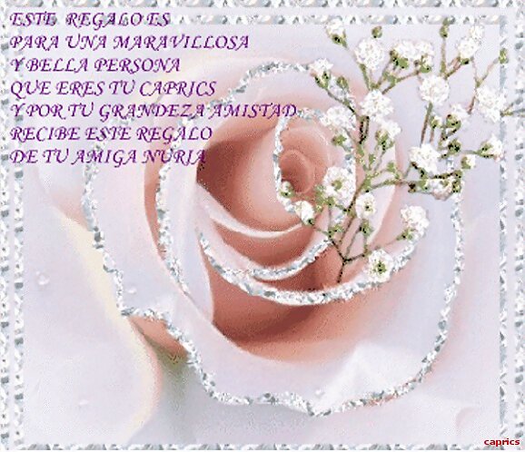 FLOR de amistad