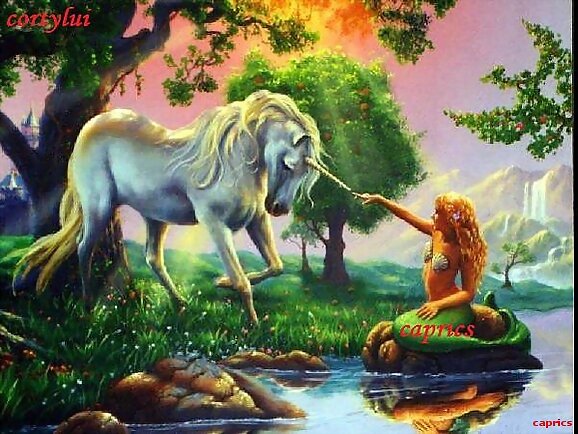 MONOLOGO A UNICORNIO DE UNA SIRENA