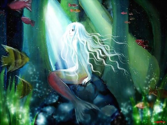 luz de fondo marino
