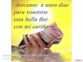 hasta lueguitooo&iexcl;&iexcl;&iexcl;&iexcl;