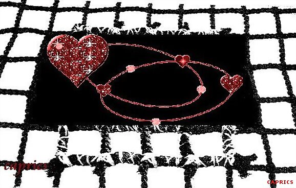 horizonte y redes del amor