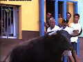 exhibiciones taurinas,EN LAS CALLES