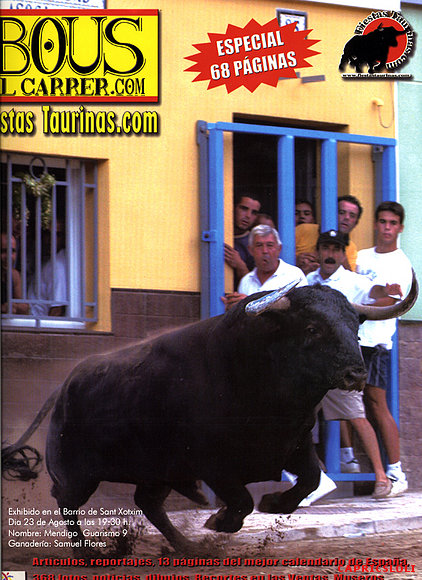 exhibiciones taurinas,EN LAS CALLES