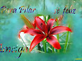 FELICITAR A PILAR