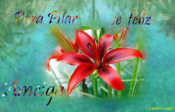FELICITAR A PILAR