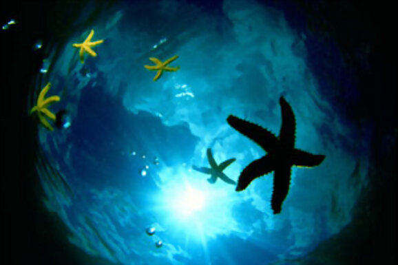 te llevare' al cielo,mana'