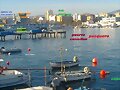 puerto pesquero  castellon