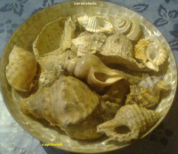 caracolerio