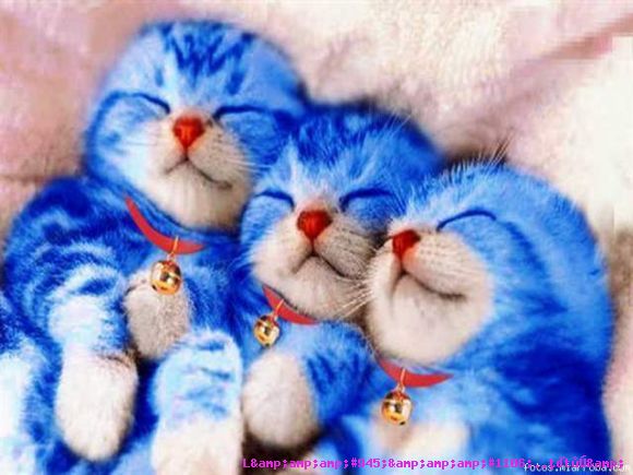 GaTitOs!!