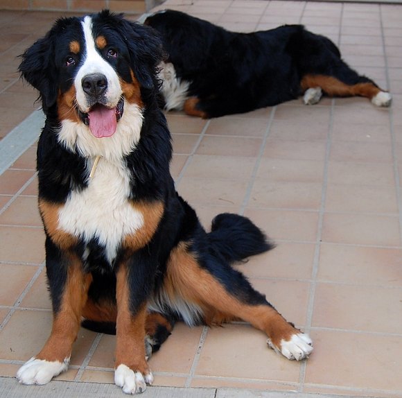 JANIS CON 10 MESES CUMPLIDOS