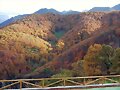VISTAS DESDE TAJA