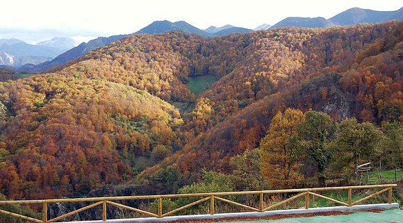 VISTAS DESDE TAJA