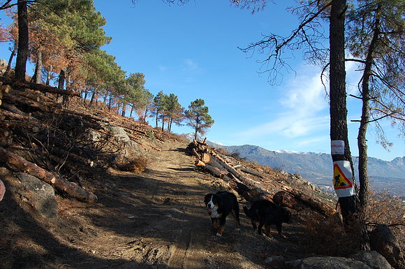 LO QUE QUEDÓ DESPUES DEL INCENDIO