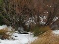 ME ACERCO AL ESTANQUE A -6 GRADITOS